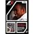 The Official Review of the 2008 FIA Formula One Championship