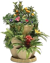 Self Watering STONE Plant & Flower Pots - Set of 3 Stackable MEDIUM Planter Tubs with Tray (Flowers not included)