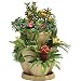 Self Watering STONE Plant & Flower Pots - Set of 3 Stackable MEDIUM Planter Tubs with Tray (Flowers not included)