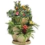 Self Watering STONE Plant & Flower Pots - Set of 3 Stackable MEDIUM Planter Tubs with Tray (Flowers not included)