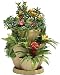 Self Watering STONE Plant & Flower Pots - Set of 3 Stackable MEDIUM Planter Tubs with Tray (Flowers not included)
