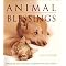 THE SPIRITUAL BEAUTY OF ANIMALS AND NATURE