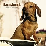 Dachshunds 2006 Calendar