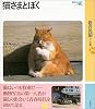 猫さまとぼく (岩波フォト絵本)
