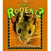 What is a Rodent? (The Science of Living Things)