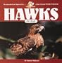 Hawks for Kids