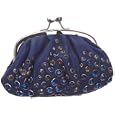 Fiorelli Women's Ruby Lane Fa0125 Frame/Purse'