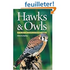 Hawks & Owls of the Great Lakes Region & Eastern North America