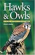 Hawks and Owls of the Great Lakes Region and Eastern North America