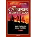 The Cypresses Believe in God