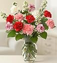 Flowers & Gifts - one dozen carnations arranged in a vase