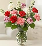 Flowers & Gifts - one dozen carnations arranged in a vase