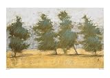 Afternoon Haze - Artist: John Kelley - Art Print Poster - With a Black Wood Frame - Image Size: 24.25 by 15.25 inches Art Print Poster - With a Black Wood Frame