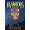 Fantasy books you can't miss!!!