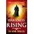 Darkness Rising (Liebermann Papers 4)