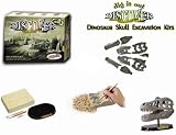 Dinosaur Skull Excavation Kit - Medium