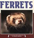 Ferrets (Nature Watch)