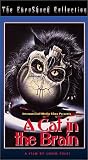 A Cat in the Brain