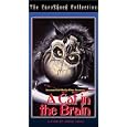 Buy A Cat in the Brain