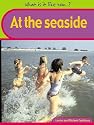 At the Seaside: Big Book (What Is It Like Now?)