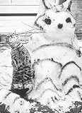 Frosty Felines (Holiday Boxed Cards)