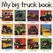 Books for Boys - Early Readers