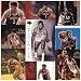 Burbank Sportscards Chicago Bulls Eddy Curry 20 Card Set