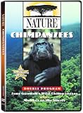 Nature: Chimpanzees