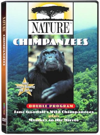 Nature: Chimpanzees