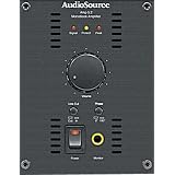 Buy AUDIO SOURCE AMP5.2 150 Watt Monoblock Amplifier Module