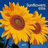 Sonnenblumen 2004. Broschüren-Kalender. Mit Geburtstagskalender.