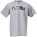 Nike Florida Gators Ash College Classic T-shirt