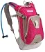 CamelBak Mini-M.U.L.E. 50-Ounce Hydration Pack,Raspberry/Silver