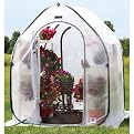 Plant Greenhouse - 5