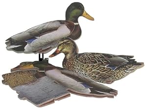 Mallard Dozen Duck Decoys Duck