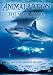 Animal Nation - Mako Sharks [Edizione: Regno Unito]