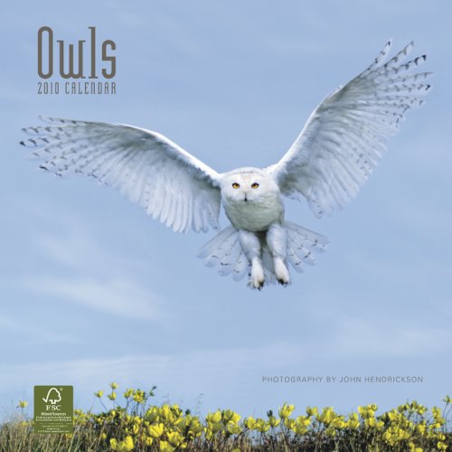 Owls 2010 Calendar