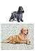 English Cocker Spaniel Glass Cutting Board