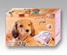 Nintendo DS - Konsole, pink inkl. Nintendogs Dachshund & Friends