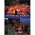Material World: A Global Family Portrait