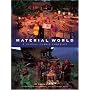 Material World: A Global Family Portrait