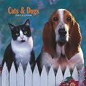 Cats & Dogs 2008 Square Wall Calendar (Multilingual Edition)