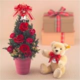 クリスマス【日比谷花壇】シュタイフ「テディベアレプリカ　1909」　とツリーアレンジメントのセット