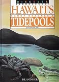Discover Hawaii's Sandy Beaches and Tidepools