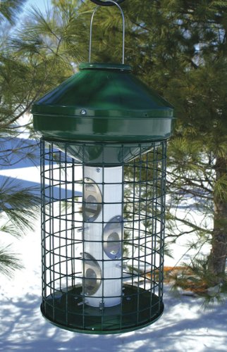 Avian Series Mixed Bird Feeder Green