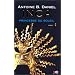 Inca, tome 1, La princesse du soleil