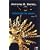 Inca, tome 1, La princesse du soleil