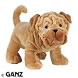 Webkinz Plush Stuffed Animal Shar Pei Dog