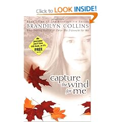 Capture The Wind For Me