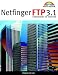 Computer Software : Netfinger FTP 3.1. CD- ROM. Filetransfer im Internet